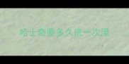 哈士奇要多久洗一次澡