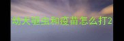 幼犬驱虫和疫苗怎么打