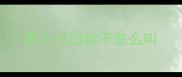两个月边牧不怎么叫