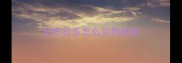 拉布拉多怎么见狗就咬
