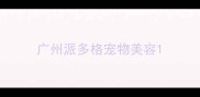 广州派多格宠物美容