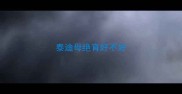 泰迪母绝育好不好