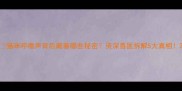 猫咪呼噜声背后藏着哪些秘密资深兽医拆解5大真相