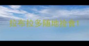 拉布拉多随地捡食