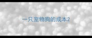 一只宠物狗的成本