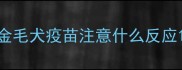 金毛犬疫苗注意什么反应