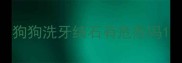 狗狗洗牙结石有危险吗