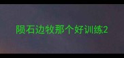 陨石边牧那个好训练