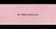 被小狗咬出血怎么办