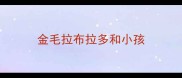 金毛拉布拉多和小孩