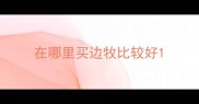 在哪里买边牧比较好