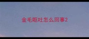 金毛呕吐怎么回事