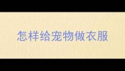 怎样给宠物做衣服