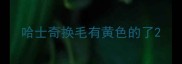 哈士奇换毛有黄色的了