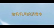 给狗狗用的消毒水