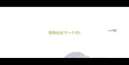 狗狗拉肚子一个月