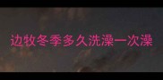 边牧冬季多久洗澡一次澡