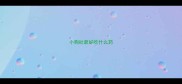 小狗吐最好吃什么药
