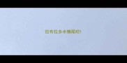 拉布拉多水懒尾吧