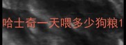 哈士奇一天喂多少狗粮