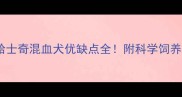 金毛哈士奇混血犬优缺点全附科学饲养指南