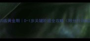 边牧训练黄金期0-1岁关键阶段全攻略附分月训练法