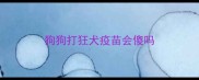 狗狗打狂犬疫苗会傻吗