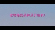 宠物猫的品种及价格表