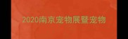 2020南京宠物展暨宠物
