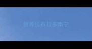领养拉布拉多南宁