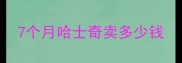 7个月哈士奇卖多少钱
