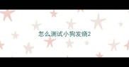 怎么测试小狗发烧
