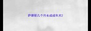萨摩耶几个月长成成年犬