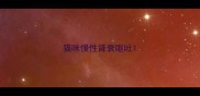 猫咪慢性肾衰呕吐