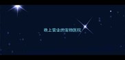 晚上营业的宠物医院