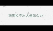 狗狗拉不出大便怎么办