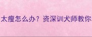 杜宾幼犬2个月太瘦怎么办资深训犬师教你科学增肥秘籍