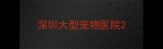 深圳大型宠物医院