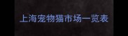 上海宠物猫市场一览表