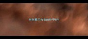 狗狗夏天打疫苗好不好