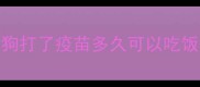 狗打了疫苗多久可以吃饭