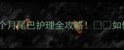 边境牧羊犬混血幼犬三个月尾巴护理全攻略如何避免小扫把变毛球