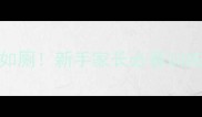 边牧幼犬2个月大开始定点如厕新手家长必看训练全攻略附超实用技巧