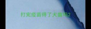 打完疫苗得了犬瘟吗