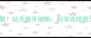 边牧3个月必看幼犬磨牙指南科学选择磨牙用品防破坏