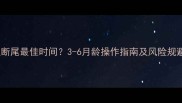 泰迪断尾最佳时间3-6月龄操作指南及风险规避全