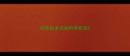 拉布拉多犬如何养听话