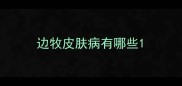 边牧皮肤病有哪些