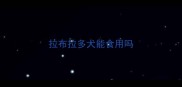 拉布拉多犬能食用吗