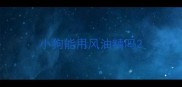 小狗能用风油精吗